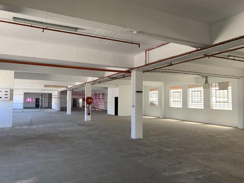 To Let commercial Property for Rent in Paarden Eiland Western Cape